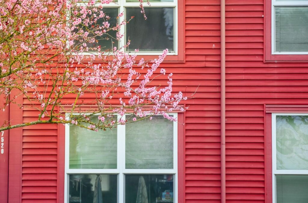 Windows in the springtime.